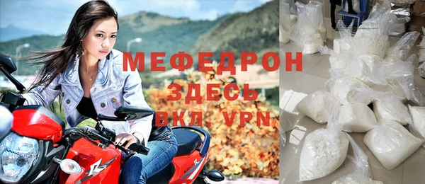 индика Богородск