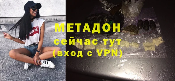 индика Богородск