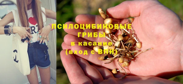 гидропоника Беломорск