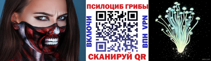 Псилоцибиновые грибы Cubensis  сколько стоит  Безенчук 